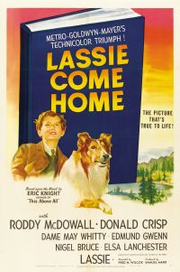 Lassie, wróć! plakat